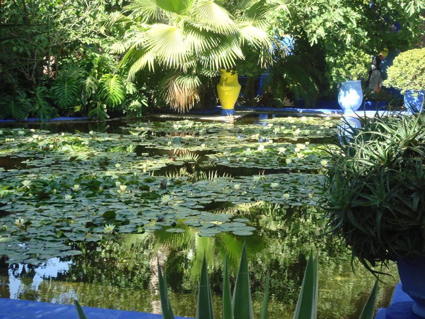 Marrakech: Majorelle Garden Entry Tickets Online - Is $46 good value for garden entry?