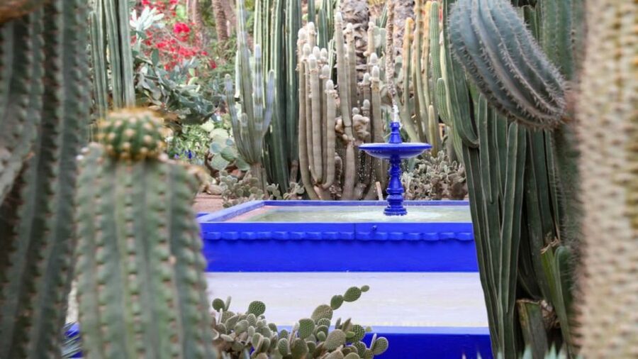 Marrakech: Majorelle Garden Entry Tickets Online - The blue architecture and the art of the garden