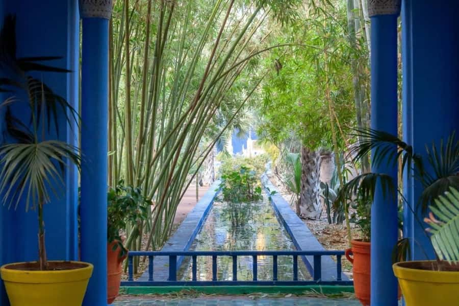 Marrakech: Majorelle Garden, Museums Tickets, & Audio Guide - Why Majorelle Garden is the main event