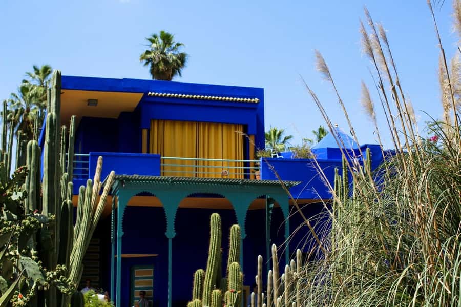 Marrakech: Majorelle Garden, YSL, and Berber Museum Entry - The Pierre Bergé Museum of Berber Arts