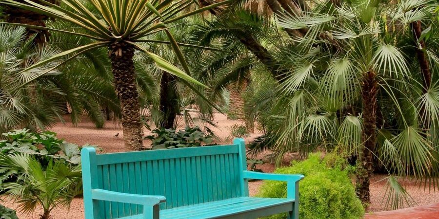 Marrakech: Majorelle Garden, YSL, and Berber Museum Entry - Who Will Enjoy This Most?