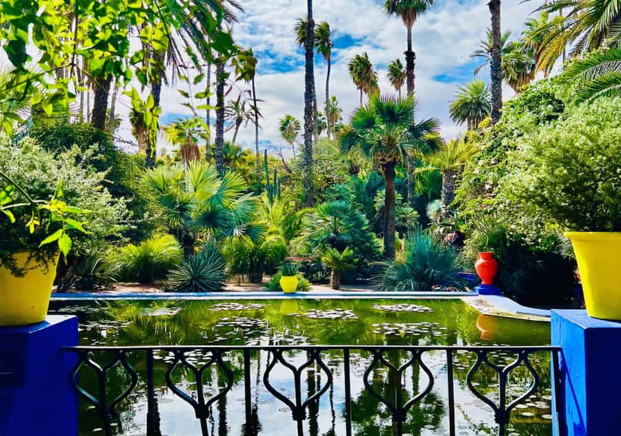 Marrakech: Majorelle & Menara Garden Tour and Carriage Ride - Why Majorelle Garden deserves the first slot