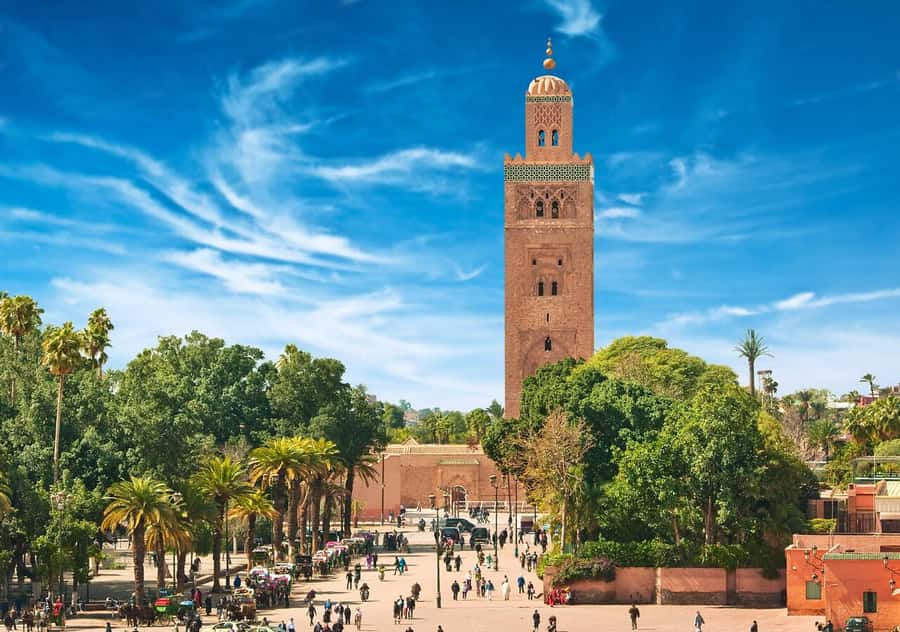 Marrakech: Majorelle & Menara Garden Tour and Carriage Ride - The shopping and stopover question