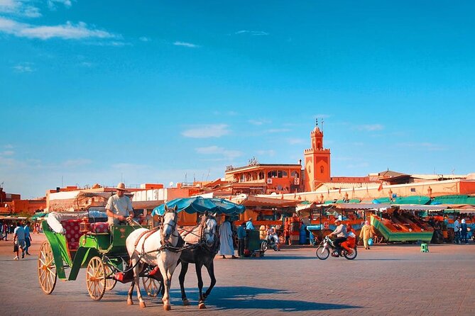 Marrakech : Ourika Valley & Anima Garden Full-Day Trip - Key points to know before booking