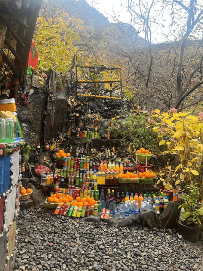 Marrakech: Ourika Valley Full-Day Atlas Mountain Guided Tour - The guides and drivers matter
