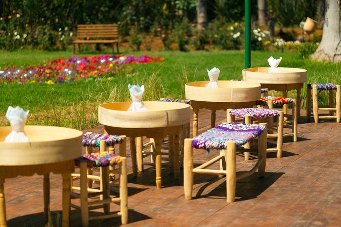 Marrakech Tour Gardens Majorelle, Menara & Anima Gardens - Three Marrakech gardens in one half-day