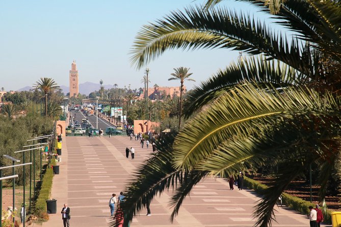 Marrakech Tour Gardens Majorelle, Menara & Anima Gardens - Should you book it?