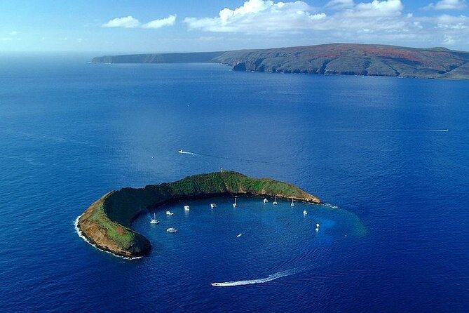 Maui Afternoon Snorkel Aboard Malolo to Molokini or Coral Gardens - Molokini or Coral Gardens: the captain makes the call