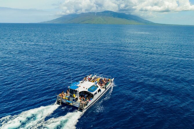 Maui Afternoon Snorkel Aboard Malolo to Molokini or Coral Gardens - Whale watching and other wildlife