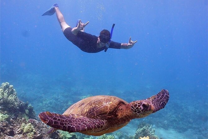 Maui Afternoon Snorkel Aboard Malolo to Molokini or Coral Gardens - What the afternoon schedule feels like