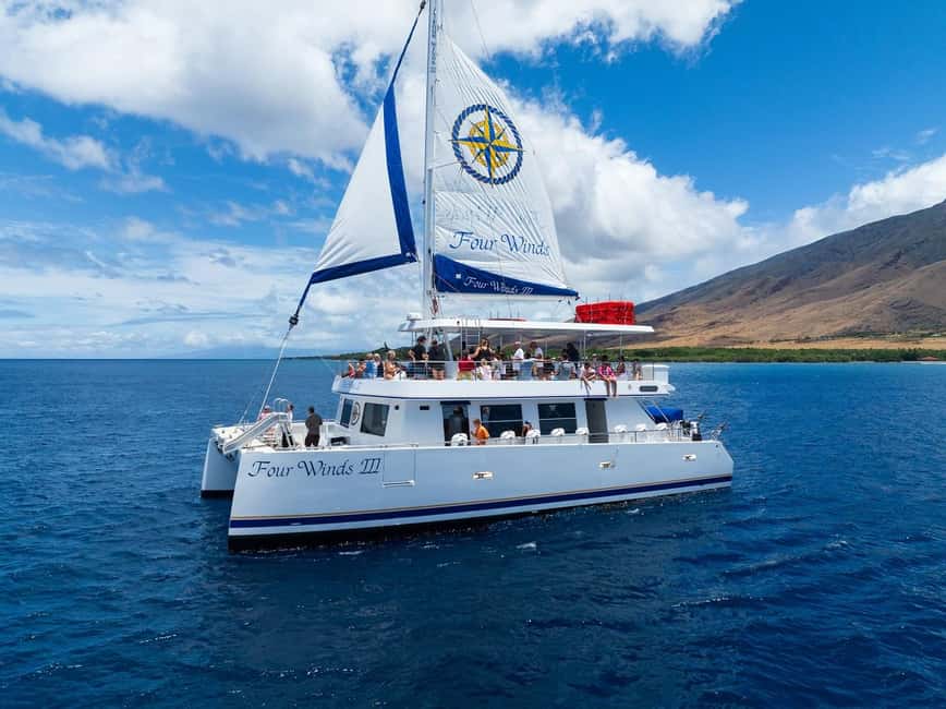 Maui: Snorkel Tour to Coral Gardens - Key points to know before you book