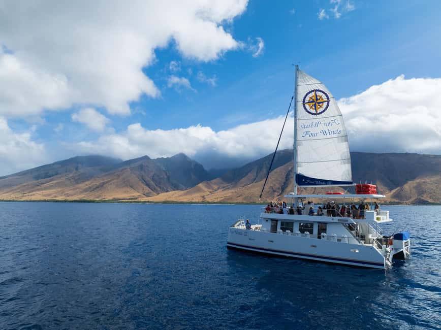 Maui: Snorkel Tour to Coral Gardens - Coral Gardens and the possible Molokini change