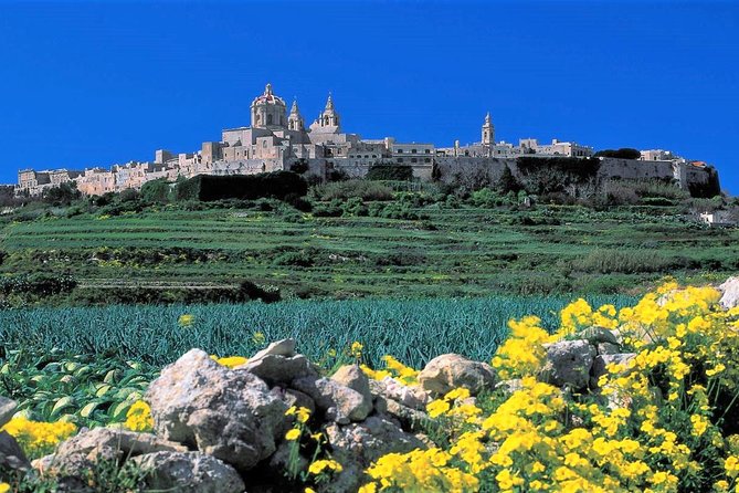 Mdina, Dingli cliffs and San Anton Gardens guided tour - Pickup, vehicles, and the cost of convenience