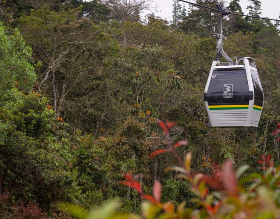 Medellín: Botanical Garden and Arvi Park City Tour - The Metrocable ride is a main attraction