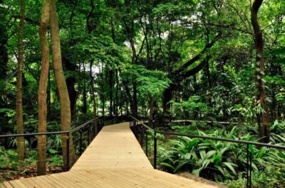 Medellín: Botanical Garden and Arvi Park City Tour
