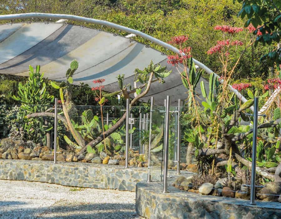 Medellín: Botanical Garden and Arvi Park City Tour - Is $85 a fair price?