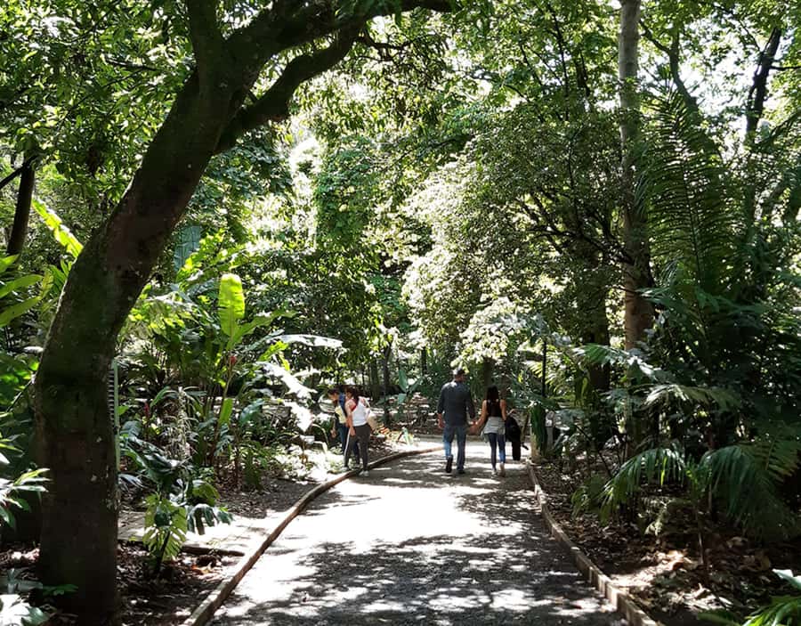Medellín: Botanical Garden and Arvi Park City Tour - Who will enjoy this tour most