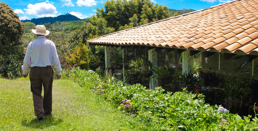 Medellín: Flower Farm & Silletero History Tour - Key points to know before booking
