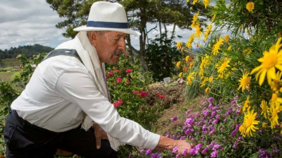 Medellín: Flower Farm & Silletero History Tour - Meeting a local silletero at the flower farm