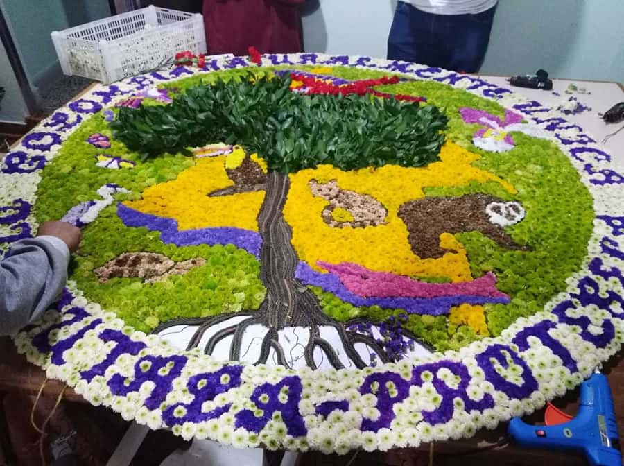 Medellín: Flower Farm & Silletero History Tour - Accessibility, clothing, and practical comfort