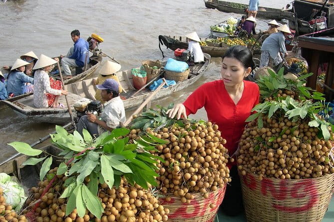 Mekong 2-Day Tour Floating Market-Bird Sanctuary-Flower Village - Tra Su Cajuput Forest by motorboat and paddleboat