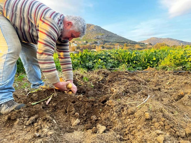 Melanes Tour: Village Highlights & Garden-to-Table Meal - Why Melanes makes a good half-day from Naxos