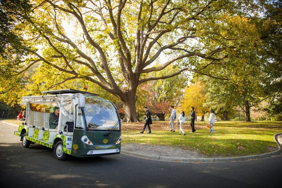 Melbourne: Melbourne Gardens Explorer Minibus Tour - Key points to know before you go