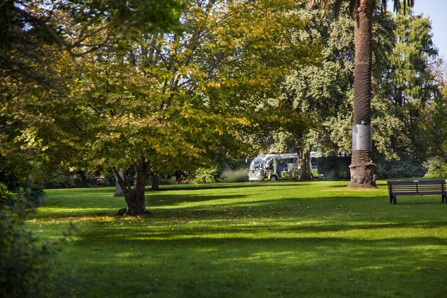 Melbourne: Melbourne Gardens Explorer Minibus Tour - Why this short tour makes sense in a huge garden