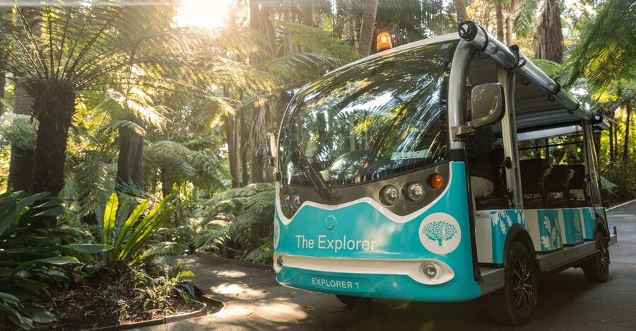 Melbourne: Melbourne Gardens Explorer Minibus Tour - What the 30-minute route gives you