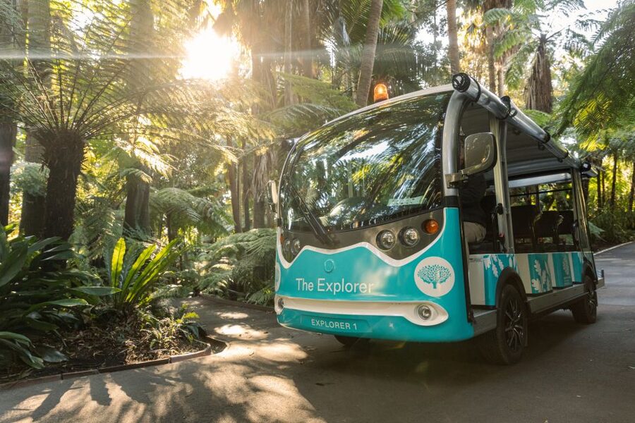 Melbourne: Melbourne Gardens Explorer Minibus Tour - The guides make the short ride worthwhile