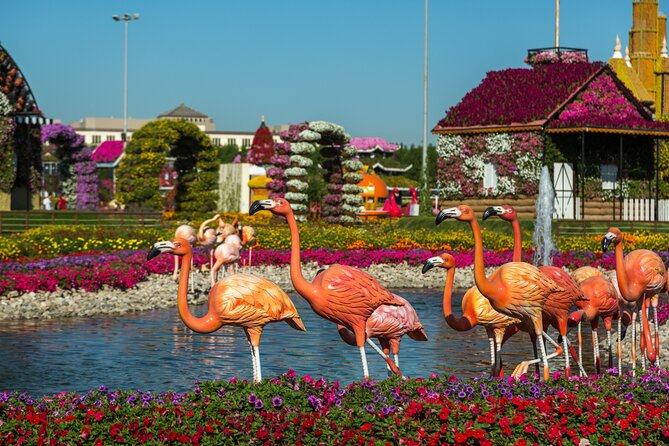 Memorable Evening at Dubai Global Village with Dubai Miracle Garden Visit !! - Is $120 a fair price?
