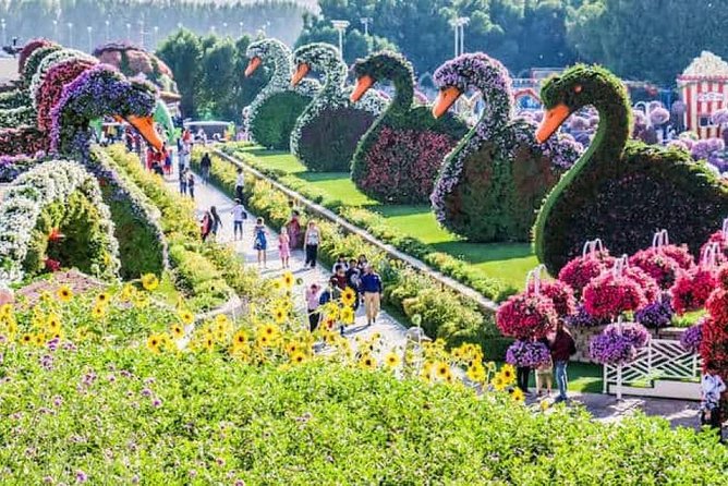 Memorable Evening at Dubai Global Village with Dubai Miracle Garden Visit !! - My recommendation