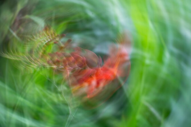 Mindful Photo Walk at Princess Pavilion & Gyllyngdune Gardens - Who will enjoy this Falmouth photo walk