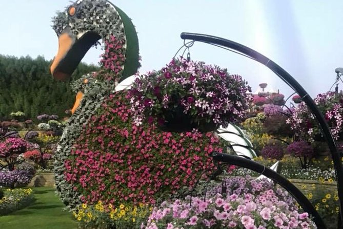 Miracle Garden & Butterfly Garden with Ticket & Private Transfers - Timing, heat, crowds, and comfort