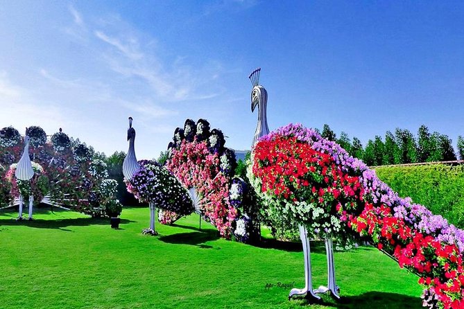Miracle Garden: Dubai Flora and Fauna 4-Hour Tour - Why the winter opening dates matter