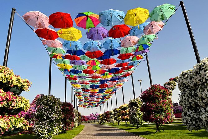 Miracle Garden: Dubai Flora and Fauna 4-Hour Tour - Timing, group size, and the practical side