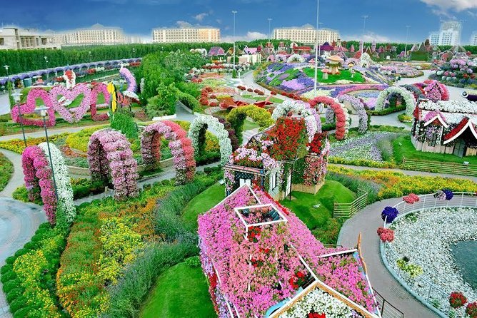 Miracle Garden Ticket Dubai with Shared Transfers - What the shared transfer adds