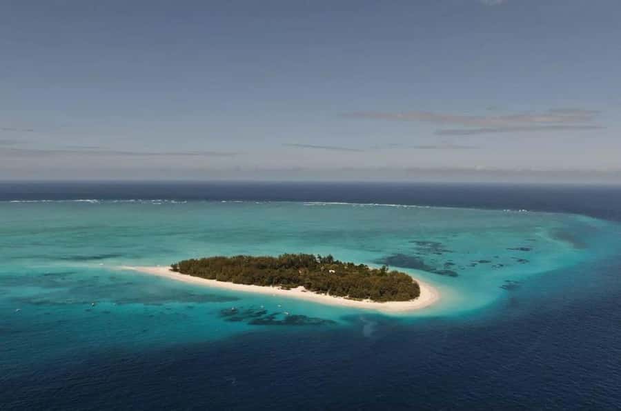 Mnemba Island, Prison Island, Secret Garden, Jozani Forest - Secret Garden brings food into the day