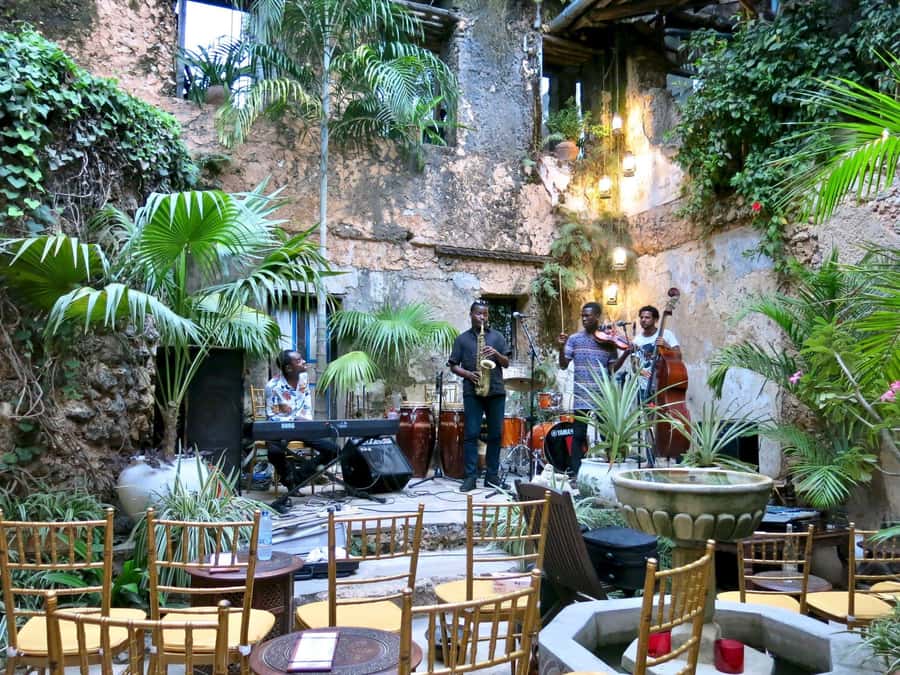 Mnemba Island, Prison Island, Secret Garden, Jozani Forest - Should you book it?