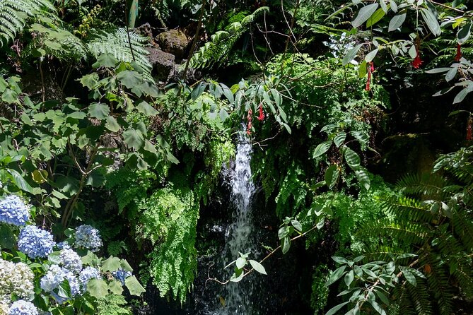 Monte Palace Tropical Garden tour with Cable Car - Ponds, museums, and paths that take effort