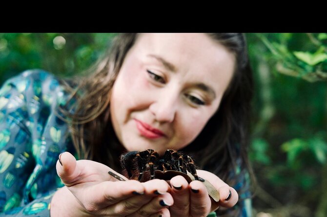 Monteverde Butterfly Gardens Tour - What the guide adds to the experience