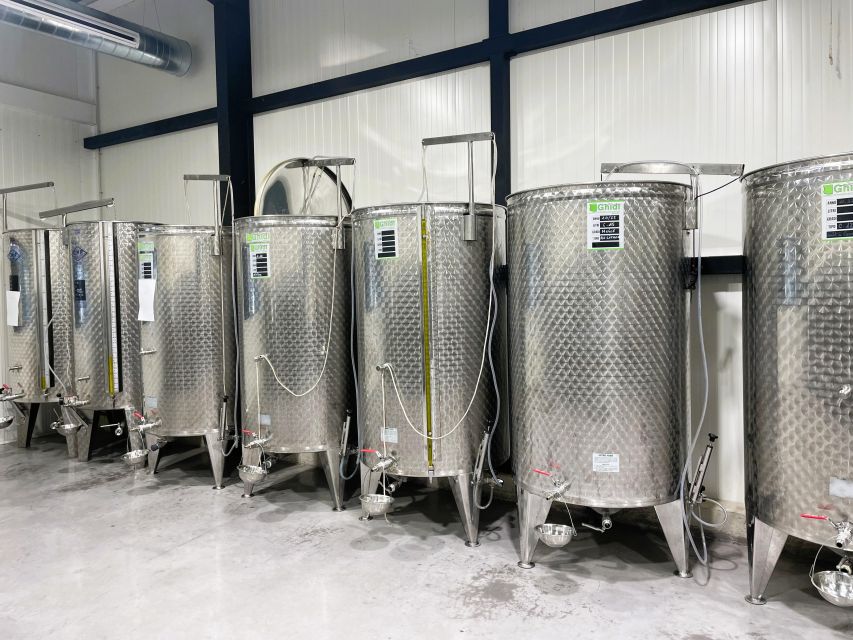 Montpellier : Visit lavender field and an Olive Oil Mill - Moulin du Mas Palat and the olive oil lesson