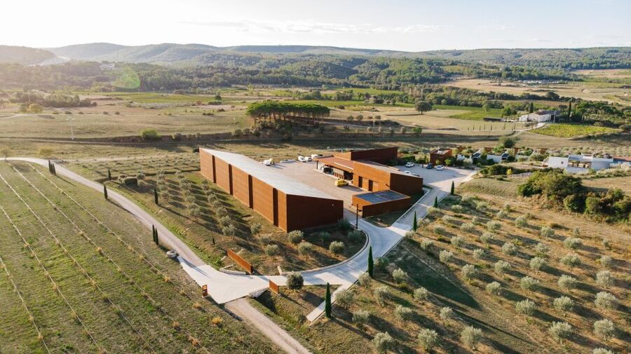 Montpellier : Visit lavender field and an Olive Oil Mill - Should you book the Montpellier lavender and olive oil tour?