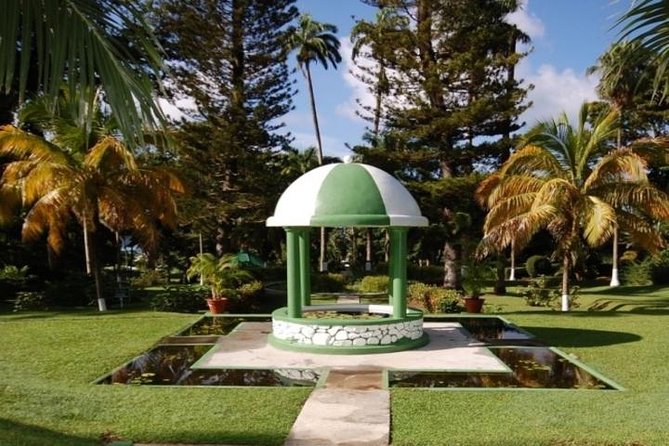 Montreal Gardens Tour with Trubb Taxi Tours - A 15-minute start at the Botanical Gardens