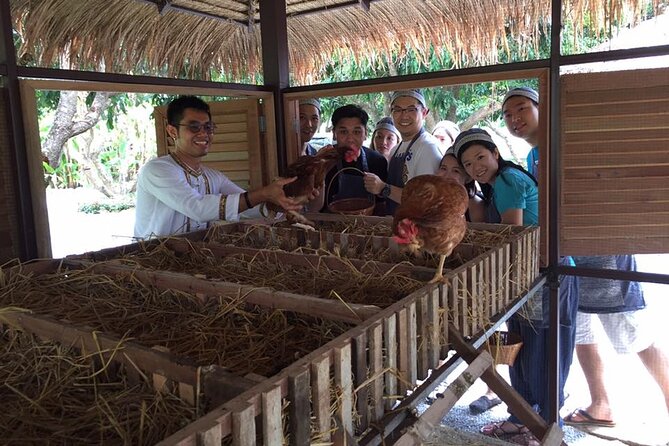 Morning Cooking Class in Traditional Pavilion with Beautiful Garden - Chiang Mai - What the four-hour schedule really gives you