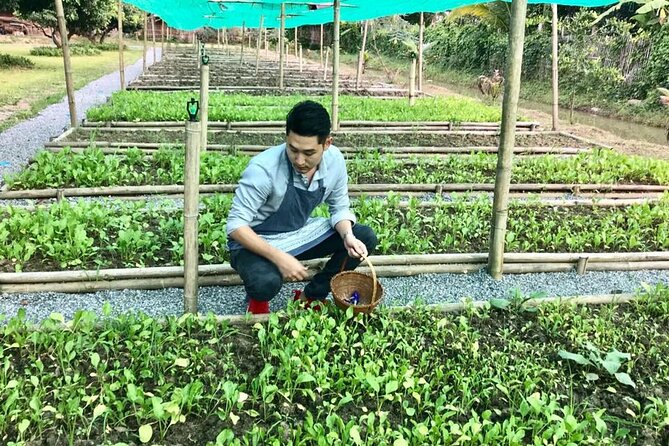 Morning Cooking Class in Traditional Pavilion with Beautiful Garden - Chiang Mai - Pickup, meeting point, and the one practical warning