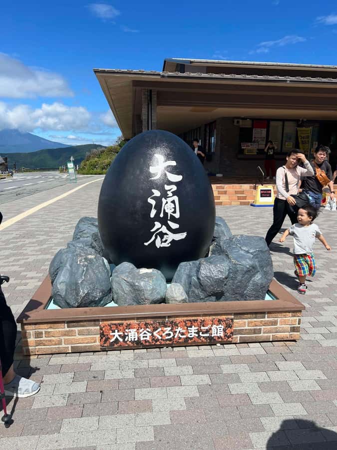 Mount Fuji & Hakone Private Tour with Cherry Blossoms - Key points at a glance