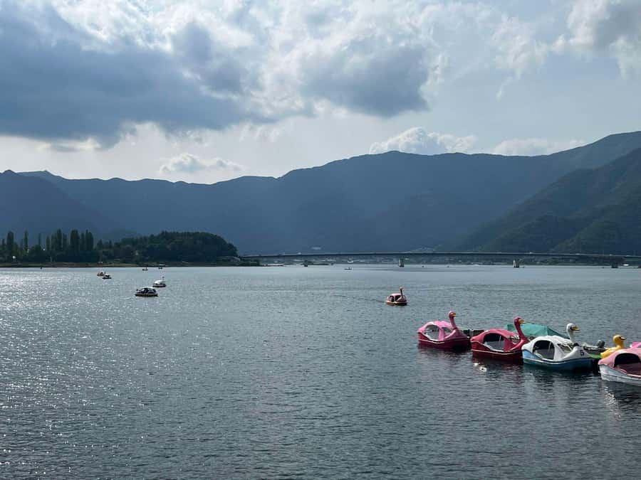 Mount Fuji & Hakone Private Tour with Cherry Blossoms - Why this private Fuji day works