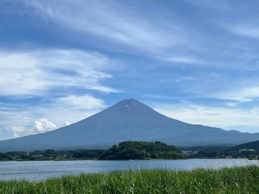 Mount Fuji & Hakone Private Tour with Cherry Blossoms - Lake Yamanaka and the broad Fuji view