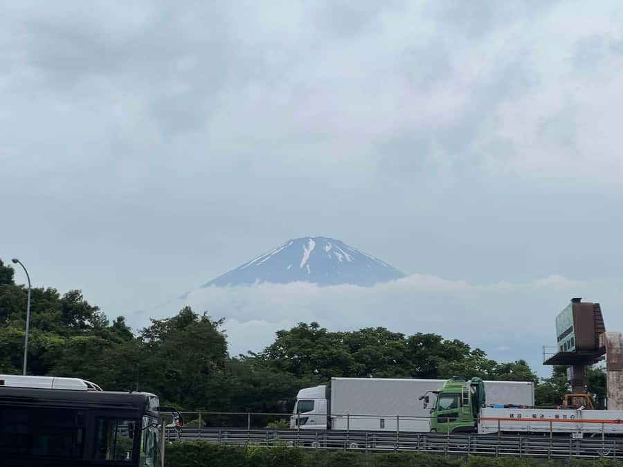 Mount Fuji & Hakone Private Tour with Cherry Blossoms - The cost and what you receive